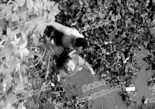 虎溪河中有人呻吟 社區(qū)安保服務(wù)保安英勇救出一個老人