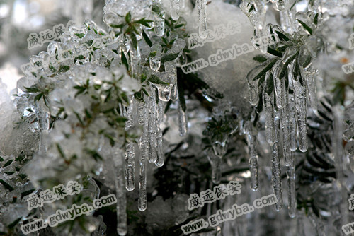 4500人登皂幕山賞冰色，佛山三水保安公司威遠分享