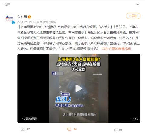 上海暴雨3名大白被刮跑？當?shù)乇０玻捍蟀桩敃r在躲雨，3人受傷